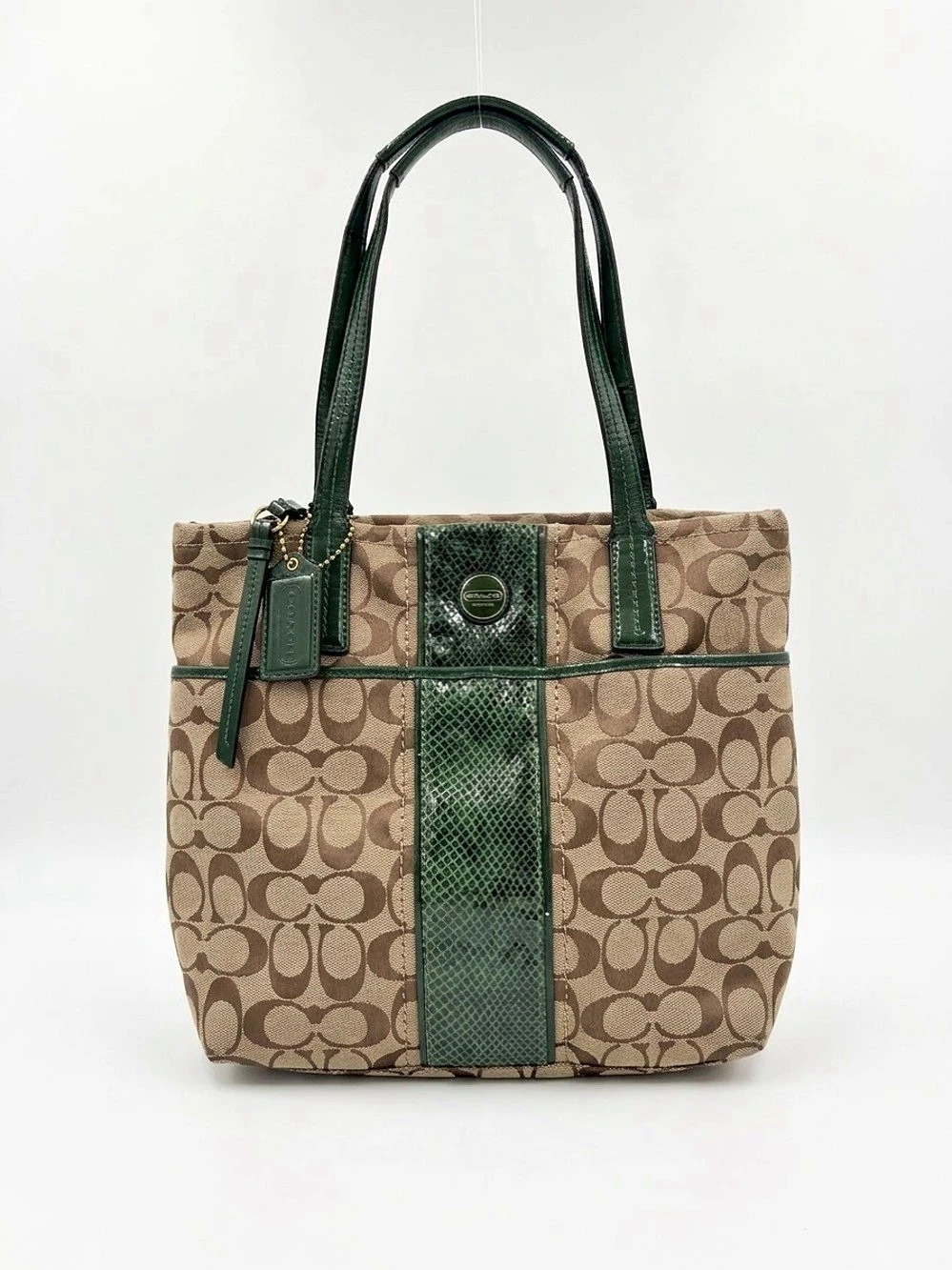 Coach Signature Python Stripe Tote Brown & Green